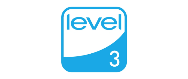 FEMB LEVEL 3 FEMB LEVEL 3