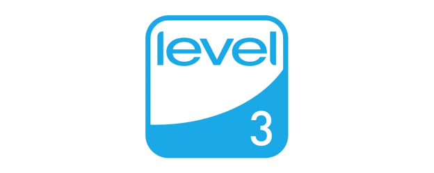FEMB LEVEL 3